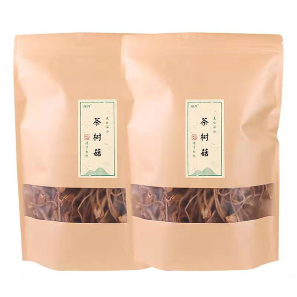 茶樹菇